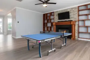 table tennis